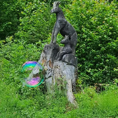 Meublés Ain-jura *